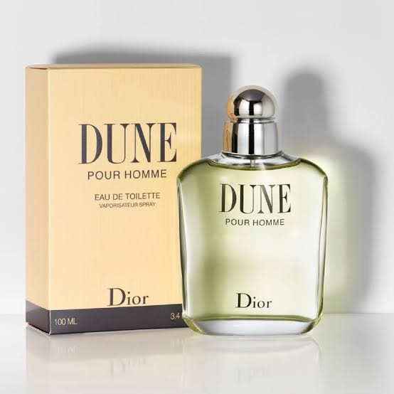 DIOR DUNE HOMME EDT 100 ML